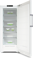 Морозильник Miele FN 4748 C White