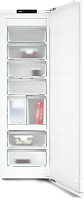Морозильник Miele FNS 7794 D R