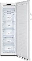 Морозильная Gorenje FN4171CW